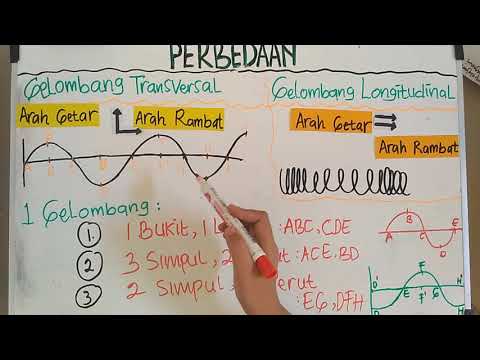 Video: Perbedaan Antara Bagian Longitudinal Dan Transversal