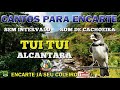 ENCARTE TUÍ TUÍ ALCÂNTARA - SEM INTERVALO - COM SOM DE CACHOEIRA