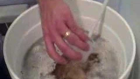 How to Make Mead part5 - Pitching the Yeast