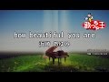 【カラオケ】how beautiful you are/浜崎 あゆみ
