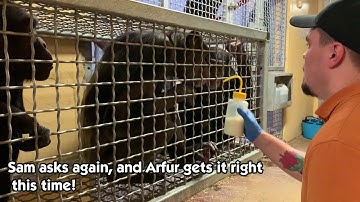 Throwback Thursday: PCS Sam is doing some training with Arfur