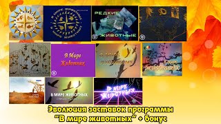 Эволюция заставок программы 