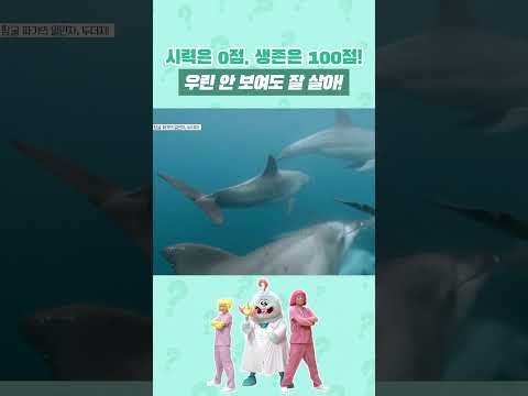눈이 안 보이면 사냥을 못 한다고? 🤔 우린 아냐! #shorts