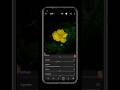 New lightroom Photo Editing 2023 #short #editing #shortsvideo