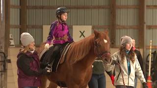 Hippotherapy: Using Equine Movement in Clinical Practice (Full Video)