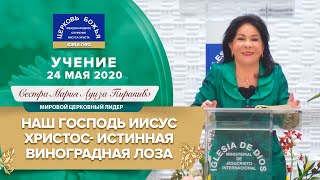 Учение: Господь Иисус Христос - истинная виноградная лоза, 24.05.2020 | Сестра Мария Луиза Пиракивэ