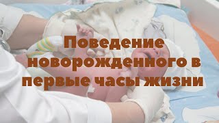 Поведение новорожденного предсказуемо! Что это значит? | Грудное вскармливание | &quot;До и После Родов&quot;