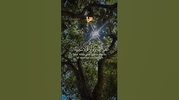 القران الكريم 101 اقرأ #quran #المصحف #قرآن #اكسبلور #القرآن_الكريم