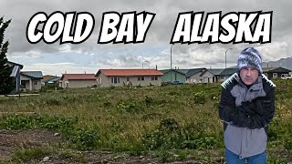 Download Lagu Saya Pindah ke Alaska Terpencil???