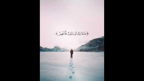 تلاوة للقارئ ماهر المعيقلي { فَدَعَا رَبَّهُ أَنِّي مَغْلُوبٌ فَانتَصِرْ } حالات واتساب اسلامية