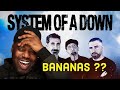 System Of A Down - Vicinity of Obscenity Reaction