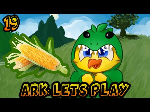 Где получить карту Corn