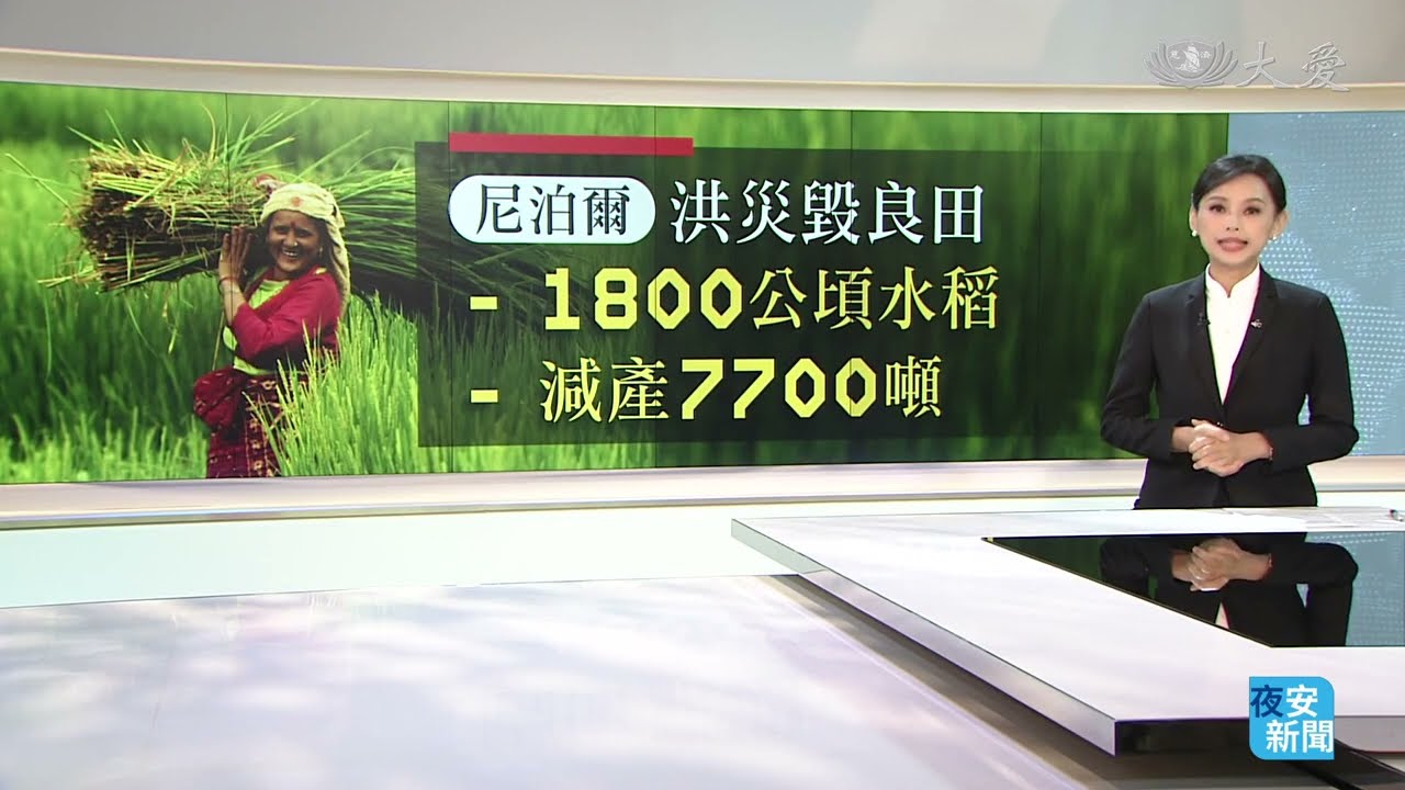 尼泊爾山洪重創生計 農業復甦急迫|#大愛新聞 #尼泊爾 #農業復甦