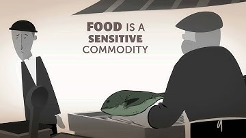 CODEX AND THE FOOD WE EAT -- ANIMATION