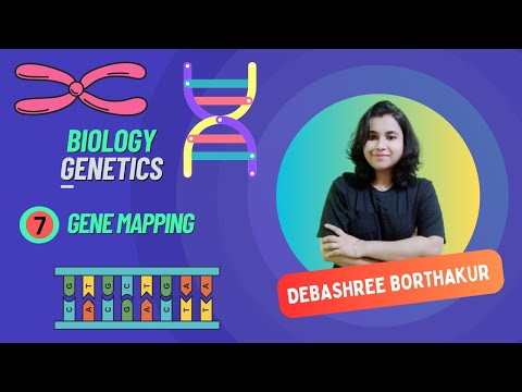 Gene mapping - YouTube