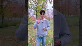 Here s a tutorial for taking autumn photos sharing eight universal maple leaf photography