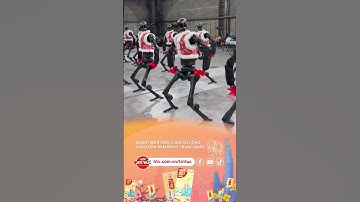 ROBOT BIỂU DIỄN CÙNG VŨ CÔNG CHÀO ĐÓN NĂM MỚI Ở TRUNG QUỐC