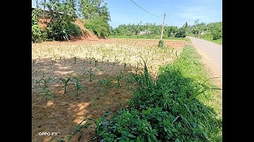 Đất vườn củ chi giá cực rẻ, diện tích 1080m2 giá chỉ 1triệu/m2 , mặt tiền đường 15 mét.