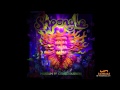 Shpongle - Brain In A Fishtank