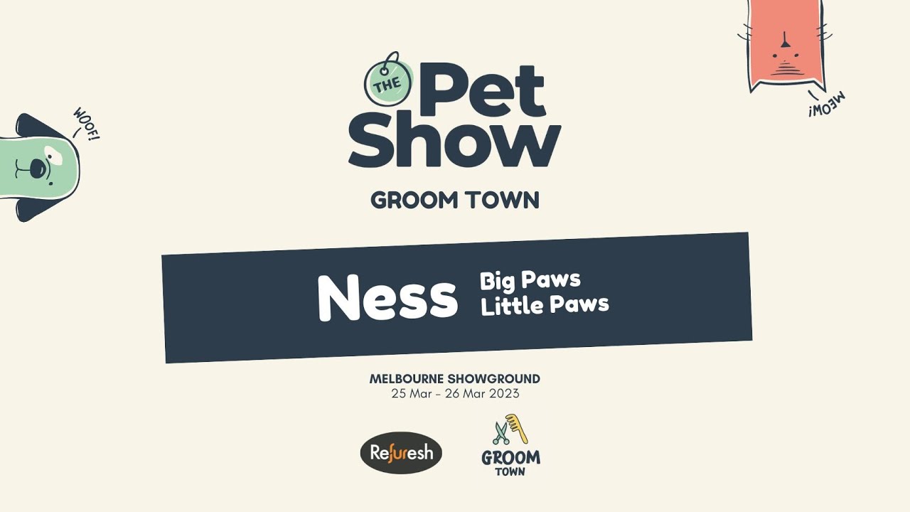 Melbourne Dog Show 2023 Big Paws Little Paws Dog Grooming Day 2
