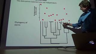 Lecture 13 - Species as data points