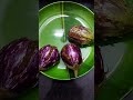 Stuff brinjal   shorts youtubeshorts shorts.cooking