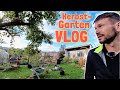 Frost-Alarm im Kleingarten: Überlebenscheck mit Robert | Vlog #112
