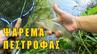 Ψάρεμα Πέστροφας με Fly Fishing & Spinning | Euro Nymphing & Στεγνές Μύγες σε Δράση!