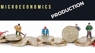 Microeconomics: Production (Chapter 6)