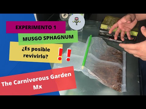 Video: ¿Crecerá musgo sphagnum muerto?