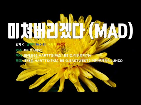 [은성 반주기] 미쳐버리겠다(MAD) - BE'O(비오)