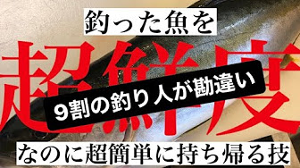 魚の保存方法 独学新技術 Youtube