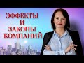 Законы и эффекты компаний:социальная лень, мотивация, транзакционный налог и другие эффекты и законы