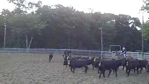 C&S Practice penning kat-pip