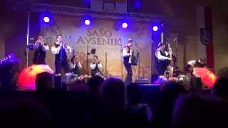 Video thumbnail of "Saso Avsenik & seine Oberkrainer  -  Amerika Reise"