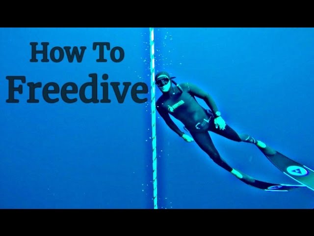 How to Freedive with Carlos Coste, 11 time world record freediver
