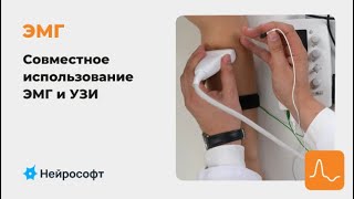 картинка: ЭМГ: совместное использование ЭМГ и УЗИ в клинической практике