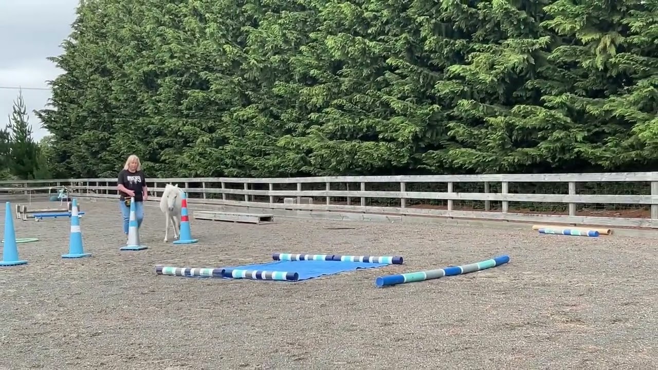 Breeze OLHA Bronze Liberty. January 2025.