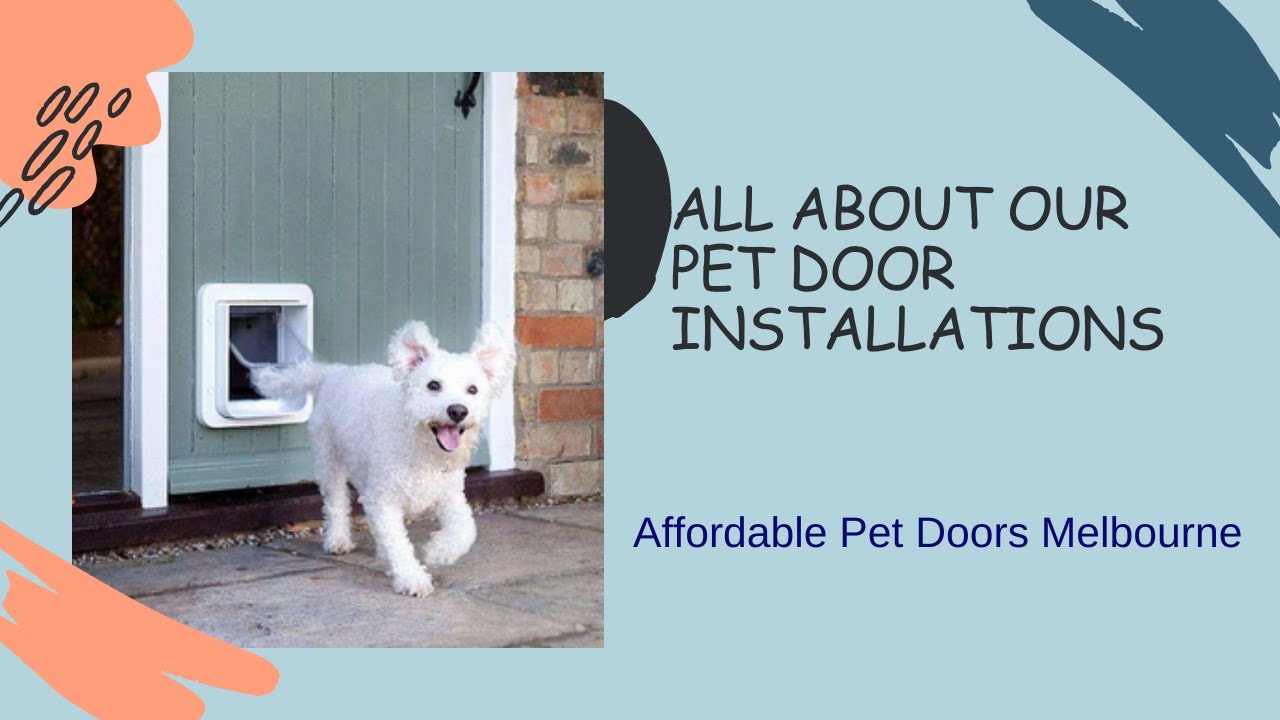 All about our Pet Door Installations Affordable Pet Doors Melbourne