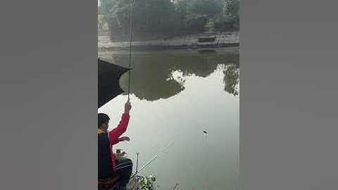 Câu cá Diếc tại trạm bơm My Động