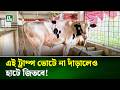 ট্রাম্পের সাথে ছাগল ফ্রি! | Jhalakathi | NTV News