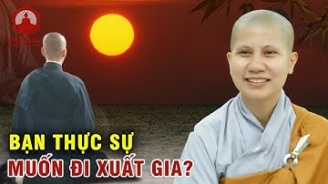 Bạn có thực sự muốn đi xuất gia không? SC Giác Lệ Hiếu trả lời vấn đáp | PGVN
