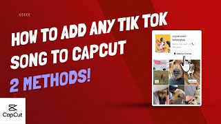 How To Save And Add Any Song From Tik Tok To CapCut - 2 Methods