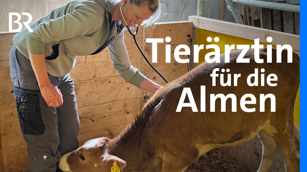 Einsatz auf der Alpe: Bergtierärztin Birke Steinbach | Almen im Allgäu | Schwaben + Altbayern | BR