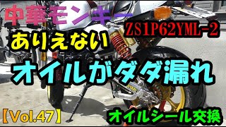 【Vol 47】さすが中華エンジン！！オイルがダダ漏れ。オイルシール交換【1P62YML-2】