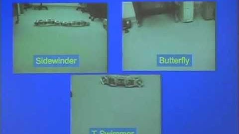 Self-Reconfigurable Robots and Digital Hormones