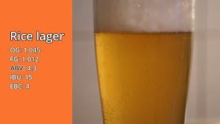 How to brew a Rice lager