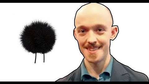 Review of The Windbubbles