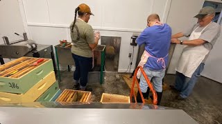 Honey Processing day 4 May 2024 Jasmine, Donald, Cheryl, Lisa