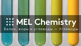 «Углеводы» из набора «Белки, жиры и углеводы» «Углеводы» из набора «Белки, жиры и углеводы»